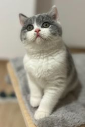 IMG_0244.jpeg